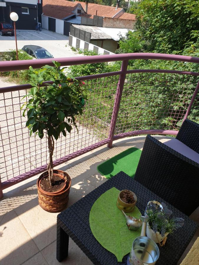 Lux Apartman Čačak Zewnętrze zdjęcie